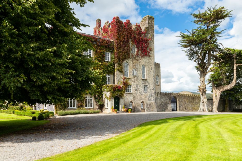 Country Homes for Sale in Thurles Killough Castle and Farm Sherry