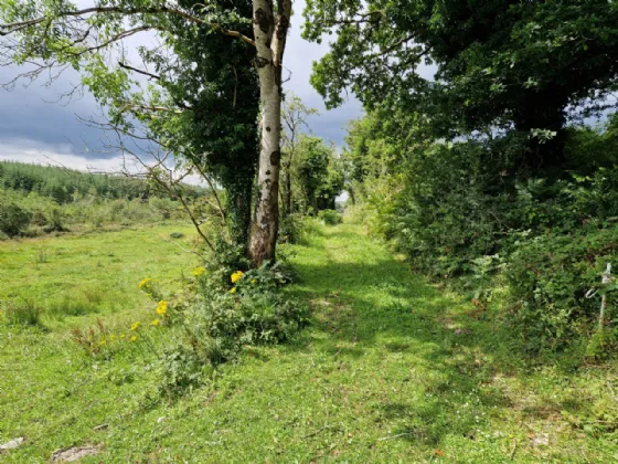 Photo of Cuilgar, Kiltimagh, Co Mayo