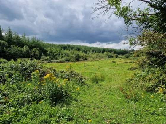 Photo of Cuilgar, Kiltimagh, Co Mayo