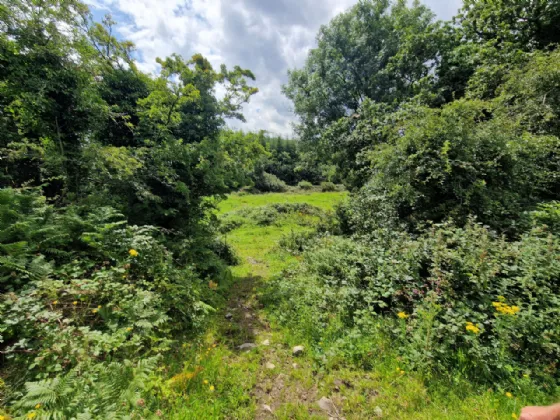 Photo of Cuilgar, Kiltimagh, Co Mayo