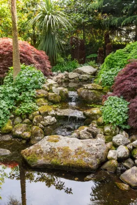 Photo of Trentham, Leopardstown Road, Foxrock, Dublin 18, D18 V2T6