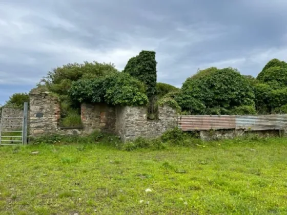 Photo of Ringbawn/Ballagh Land (132.5 Acres), Tacumshane, Co Wexford