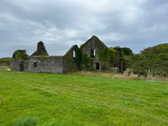 Photo of Ringbawn/Ballagh Land (132.5 Acres), Tacumshane, Co Wexford