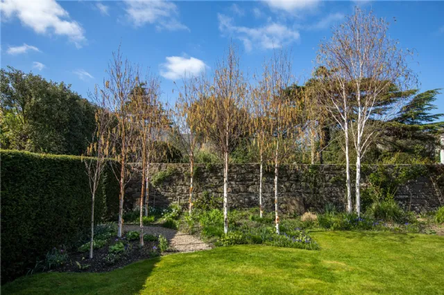 Photo of 43 Sandford Terrace, Sandford Road, Ranelagh, Dublin 6, D06 A6C8