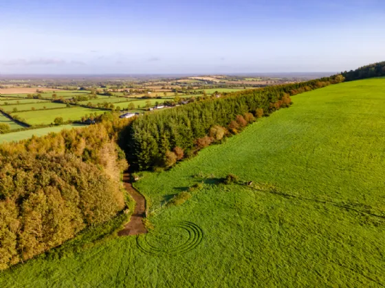 Photo of Guidenstown Farm (The Entire), Approx. 52 Hec (130 Acres), Guidenstown, County Kildare