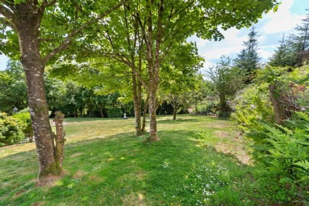 Photo of Sunville, Drimoleague, Co Cork, P47XR84