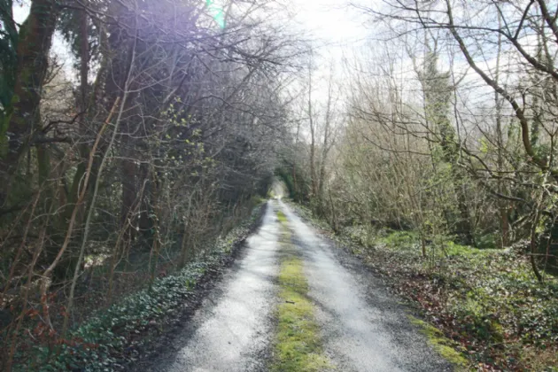 Photo of Dooneen, Hillstreet, Carrick-On-Shannon, Co. Roscommon, N41 V2K5