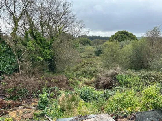 Photo of Toornanaunagh, Gneeveguilla, Co Kerry, P51F3X0