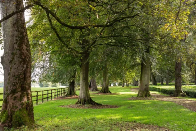 Photo of Ardbraccan House, Ardbraccan, Navan, County Meath, C15W8C0