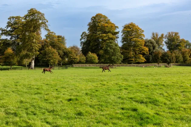 Photo of Ardbraccan House, Ardbraccan, Navan, County Meath, C15W8C0