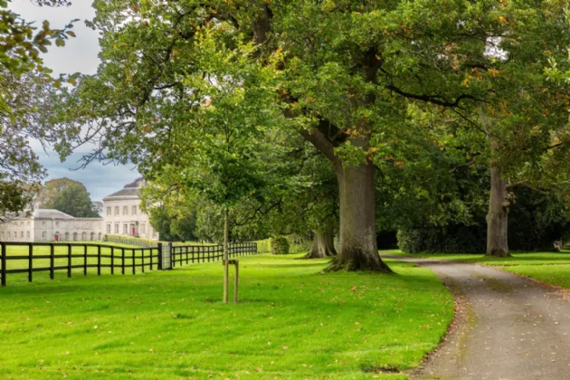 Photo of Ardbraccan House, Ardbraccan, Navan, County Meath, C15W8C0