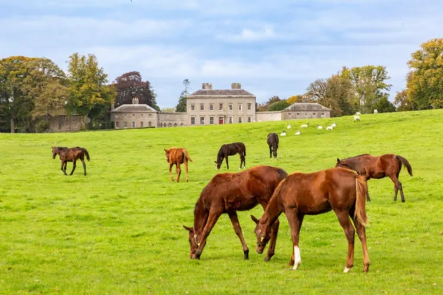Photo of Ardbraccan House, Ardbraccan, Navan, County Meath, C15W8C0