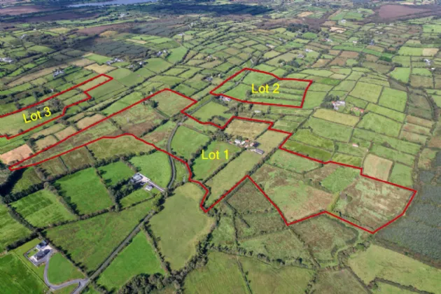Photo of Lot 1 - House On 1 Hectare, Killyvehy, Cloone, Co. Leitrim, N41 PE03