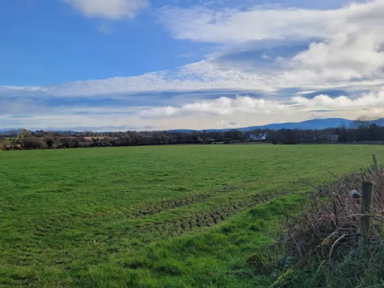 Photo of Site B, .50 Acre Site Newtown, Newtown,, Fenagh,, Co. Carlow