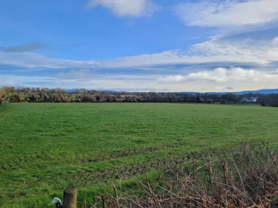 Photo of Site B, .50 Acre Site Newtown, Newtown,, Fenagh,, Co. Carlow