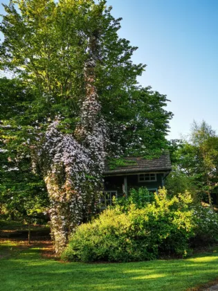 Photo of Littlewood Lodge, Kilbrew, Ashbourne, Co Meath, A84FD93