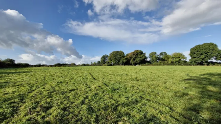 Photo of 112 Acres At Lehid & Kilcreevanty, Tuam, Co. Galway