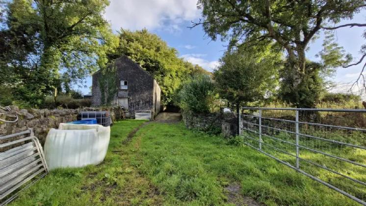 Photo of 112 Acres At Lehid & Kilcreevanty, Tuam, Co. Galway