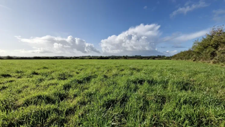 Photo of 112 Acres At Lehid & Kilcreevanty, Tuam, Co. Galway