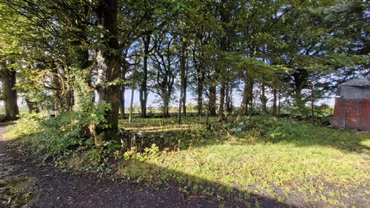 Photo of 112 Acres At Lehid & Kilcreevanty, Tuam, Co. Galway