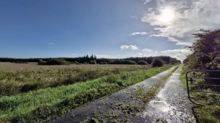 Photo of 112 Acres At Lehid & Kilcreevanty, Tuam, Co. Galway