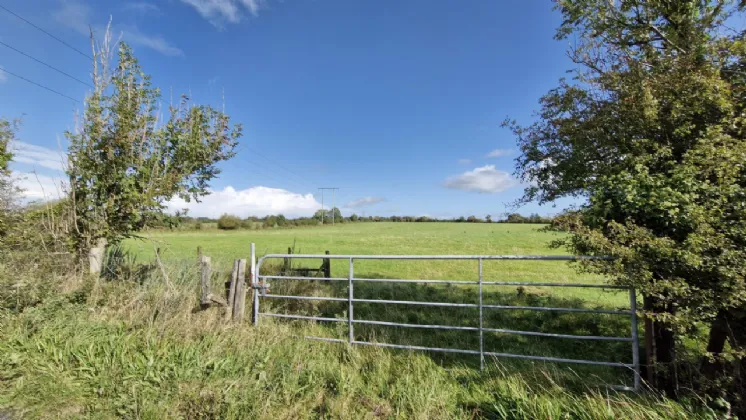 Photo of 112 Acres At Lehid & Kilcreevanty, Tuam, Co. Galway