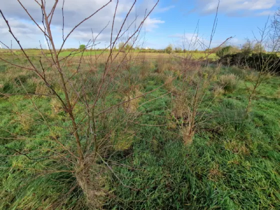 Photo of Cuillaun, Ballindine, Co Mayo
