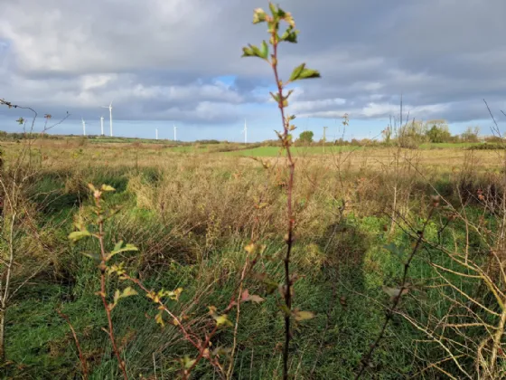 Photo of Cuillaun, Ballindine, Co Mayo