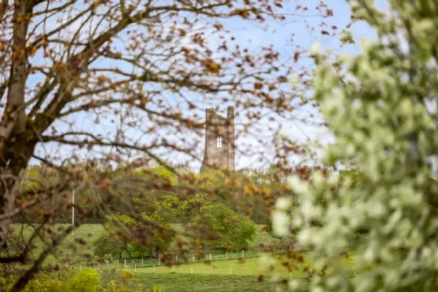 Photo of Friarspark, Dublin Road, Trim, Co Meath, C15 ACF6