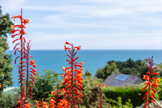 Photo of Kilmore, Kilmore Avenue, Killiney, Co Dublin, A96 F252