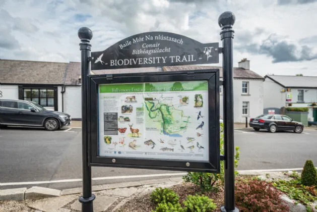 Photo of 2 Chapel Street,, Ballymore Eustace, Co. Kildare, W91 W8C7