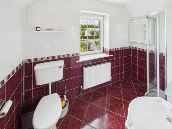 Photo of Tombricane, Borrisokane, Nenagh, Co. Tipperary, E45 PN79