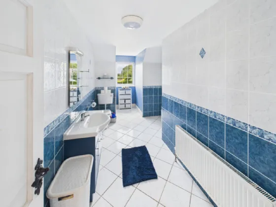 Photo of Tombricane, Borrisokane, Nenagh, Co. Tipperary, E45 PN79