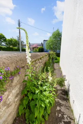 Photo of 38 Ulverton Road, Dalkey, Co Dublin, A96V278