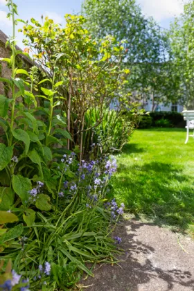 Photo of 38 Ulverton Road, Dalkey, Co Dublin, A96V278