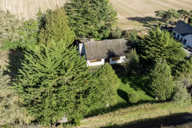 Photo of White Piers, Rogerstown Lane, Lusk, Co. Dublin, K45E189