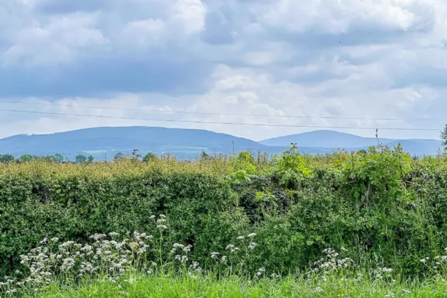 Photo of Conifer Cottage, Newhouse, Thomastown, Co Kilkenny, R95 R6W3