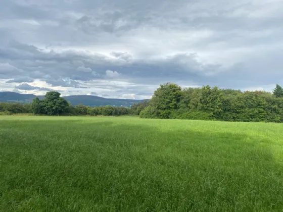 Photo of 4.74 Ac / 1.91 Ha Development Land, Racecourse Road, Dundalk, Co. Louth, A91 H3K5