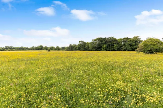 Photo of The Glebe, Trim Road, Ballivor, Co Meath, C15 V889