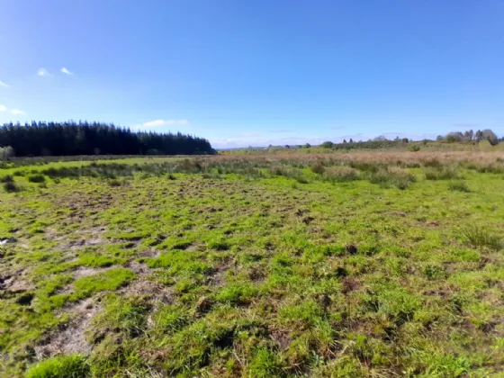 Photo of Bushfield, Charlestown, Co Mayo