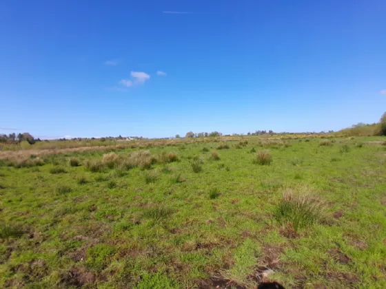 Photo of Bushfield, Charlestown, Co Mayo