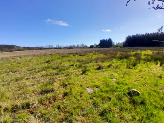 Photo of Bushfield, Charlestown, Co Mayo