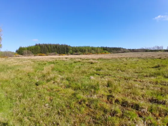 Photo of Bushfield, Charlestown, Co Mayo