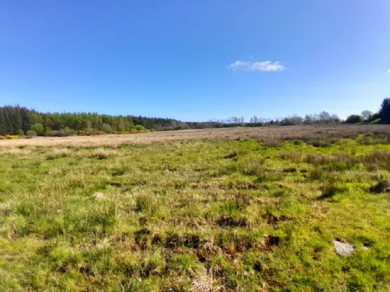 Photo of Bushfield, Charlestown, Co Mayo
