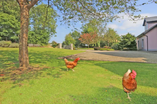 Photo of Clar Cliath, Roslevan, Ennis, Co. Clare, V95 ATP9