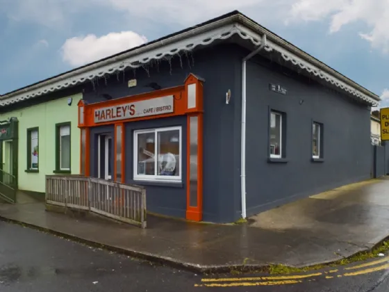 Photo of Harleys Cafe, Bridge Street, Portlaw, Co. Waterford, X91 F684
