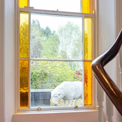 Photo of 32 Oakley Road, Ranelagh, Dublin 6, D06 N923