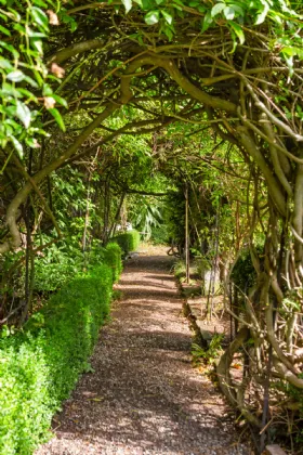 Photo of Rosney House, Albert Road Upper, Glenageary, Co. Dublin, A96 P6P9