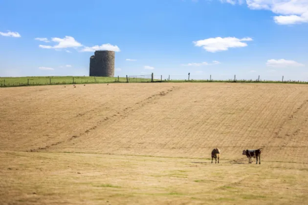 Photo of Newtown, Nobber, Co Meath, A82 A6N6