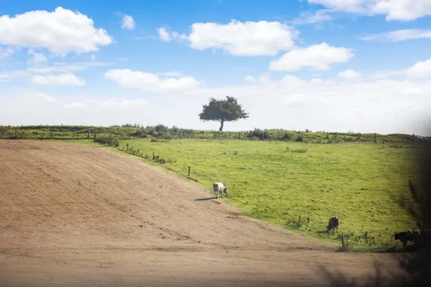 Photo of Newtown, Nobber, Co Meath, A82 A6N6